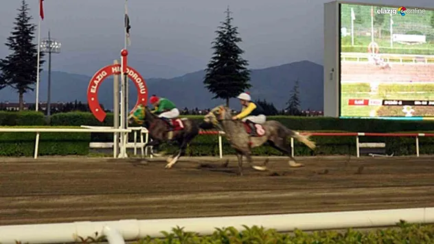 Elazığ Hipodromu'nda Jandarma Teşkilatı adına Göbeklitepe Ağası zaferi!