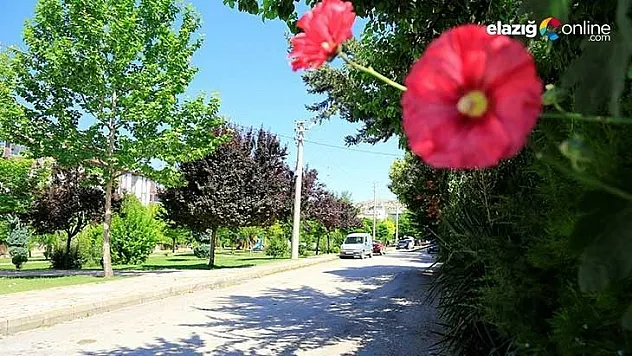 Elazığ kısıtlamaya uydu, sokak ve parklar sessiz kaldı
