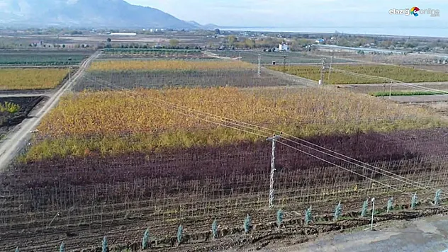Elazığ Orman Bölge Müdürlüğünden büyük başarı!