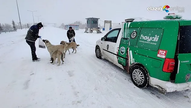 Elazığ polisi can dostları unutmadı