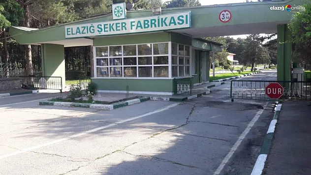 Elazığ Şeker Fabrikası 2022-2023 üretim verilerini açıkladı