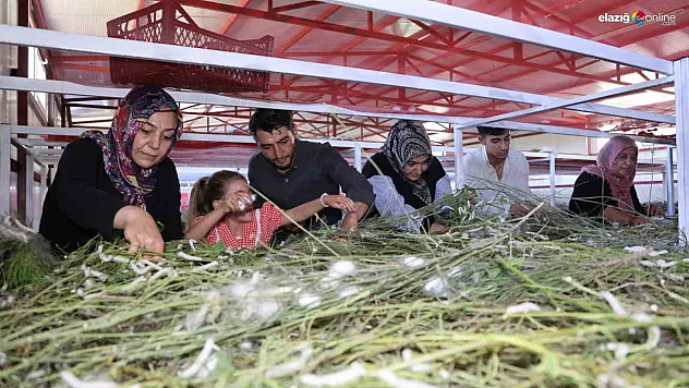 Elazığ'da Girişimcilik Başarıya Dönüştü: 30 Yeni Üreticiye İlham Oldu!