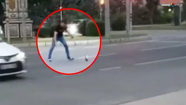 Elazığ trafiğinde sahipsiz tavuk paniği!