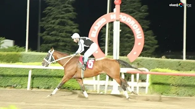 Elazığ TSO adına düzenlenen koşuyu Into isimli safkan kazandı