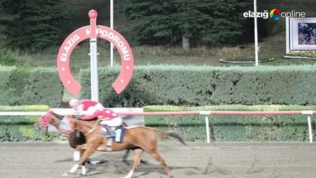 Elazığ Üzüm Festivali Koşusunu Dothraki kazandı