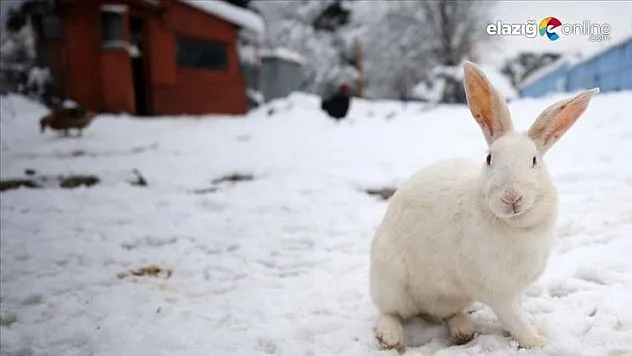 Elazığ ve 4 il için kar yağışı uyarısı!