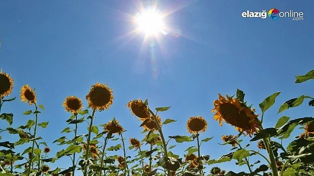 Elazığ ve bölge için sıcak hava uyarısı!
