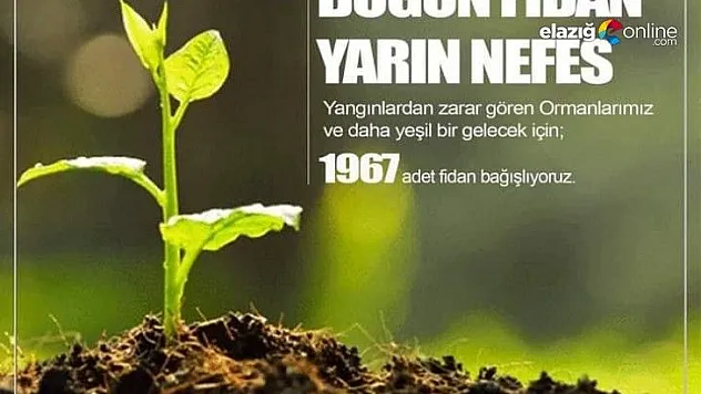 Elazığspor'dan 1967 fidan bağışı