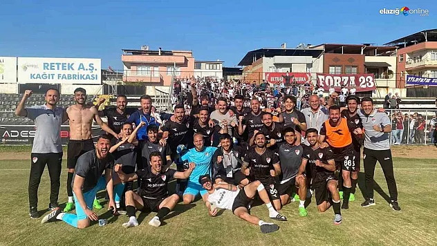 PFDK'dan Elazığspor'a para cezası