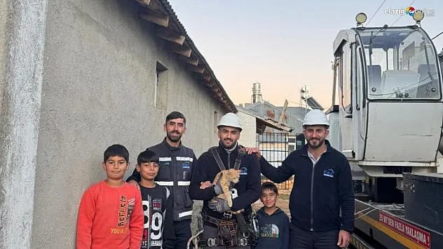 Elektrik direğinde mahsur kalan kediyi ekipler kurtardı