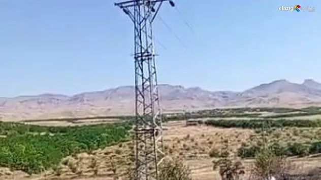 Bir kıvılcım 5 dönümlük bahçeyi kül etti