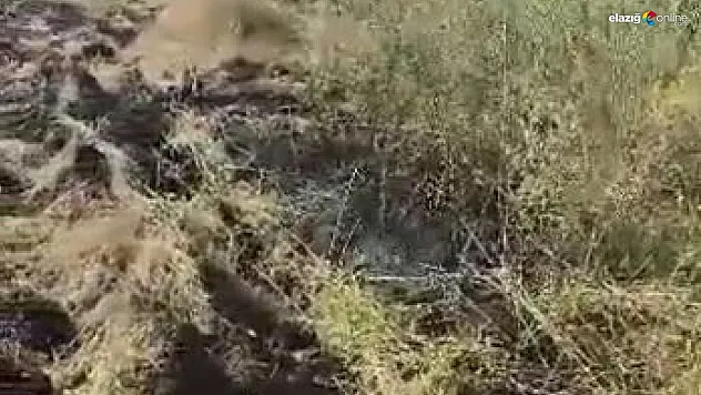 Elazığ'da 80 dönümlük tarla yanmaktan son anda kurtuldu