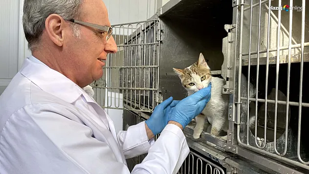 Enkaz altından kurtarılan hayvanlar Elazığ'da tedavi ediliyor