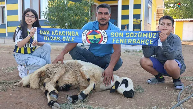 Sadettin Saran Başkan Oldu, Elazığ'da Fanatik Baba-Kız Adaklık Kurban Kesti!