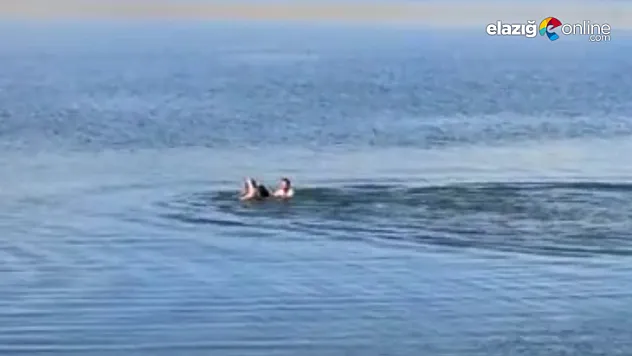 Feribot kaptanı, boğulmak üzere olan şahsı kurtardı