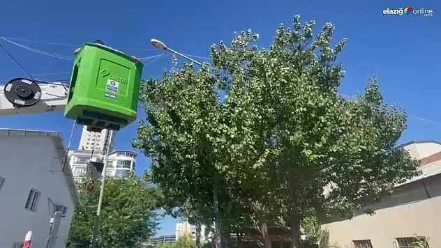 Enerji Hatlarında Can Kurtaran Müdahale: Fırat EDAŞ Ekipleri Takdir Topladı!