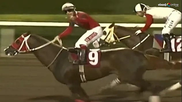 Fırat Üniversitesi Koşusu'nda büyük çekişme: Koşunun galibi Yağızalp oldu!