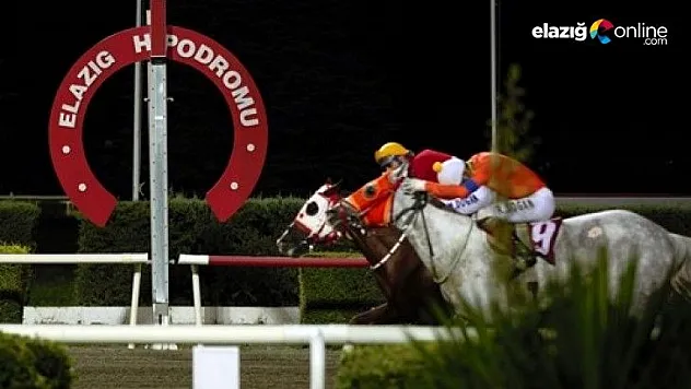 Fırat Üniversitesi Koşusu'nu Yutangirdap kazandı