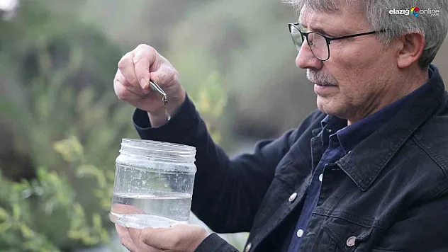 Elazığ'da İki Yeni Sülük Türü Keşfedildi: Dünya Literatürüne Girdi!