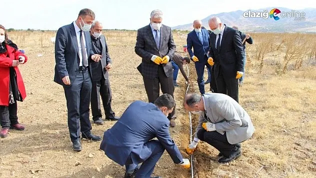 FÜ Fidan Üretim Merkezi'nde cevizler toprakla buluştu