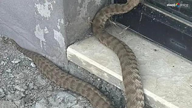 Prof. Dr. Temizer: 'Tedirgin olacak bir durum yok!'