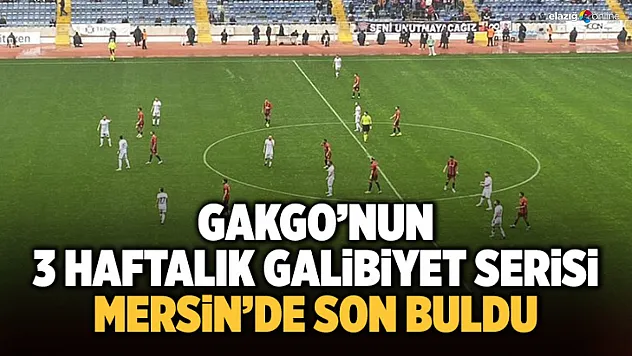 Gakgo'nun 3 haftalık galibiyet serisi Mersin'de son buldu