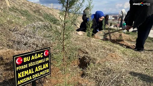 Genç iletişimcilerden şehitlik ormanı!