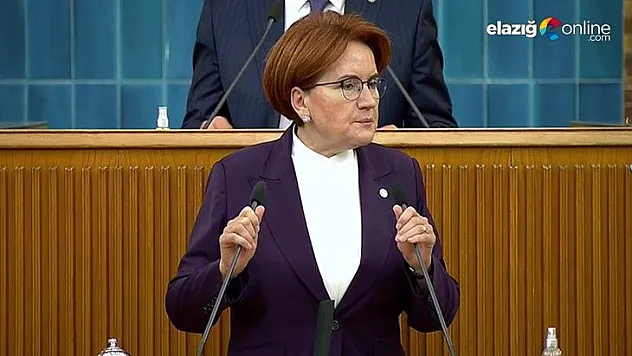 Genel Başkan Akşener: Pertek köprüsü bir an önce yapılmalı