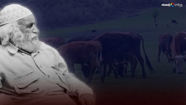 Gittiği arazide ölü bulundu