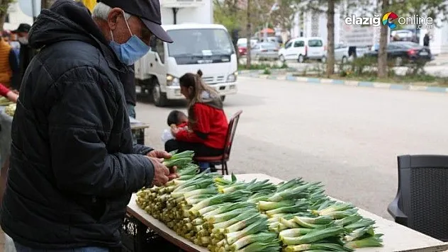 'Gulik' Mesaisi Başladı