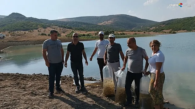 Günboğazı göletine 100 bin pullu sazan yavrusu bırakıldı