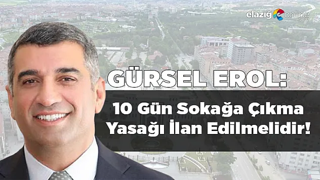 Gürsel Erol: 10 gün sokağa çıkma yasağı ilan edilmelidir