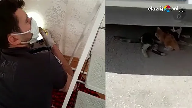 Havalandırma boşluğuna düşen yavru kedi kurtarıldı