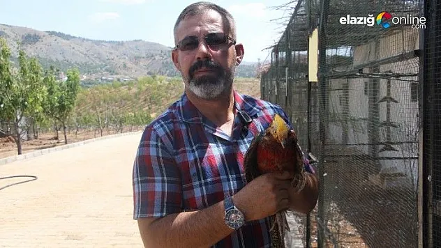 Mehmet Yüksel: Amacım hayvan sevgisi oluşturmak