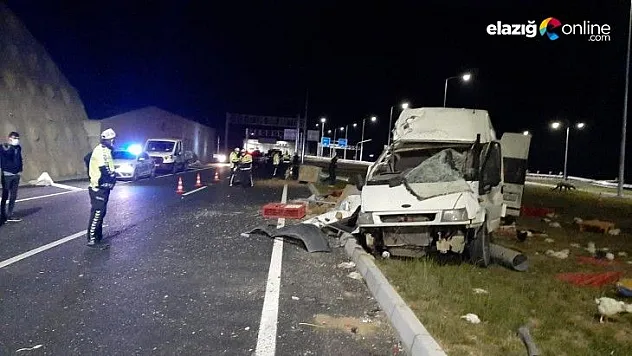 Kanatlı hayvanları taşıyan minibüs kaza yaptı