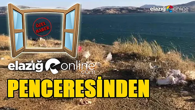 Hem Ayıp, Hem Yazık!