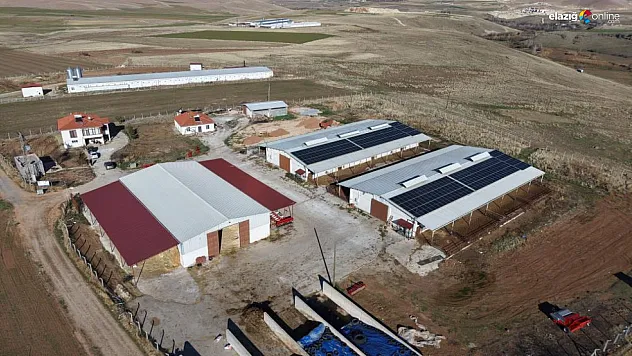 Hem et üretiyor hem elektrik: TKDK desteğiyle hayaller gerçek oldu!