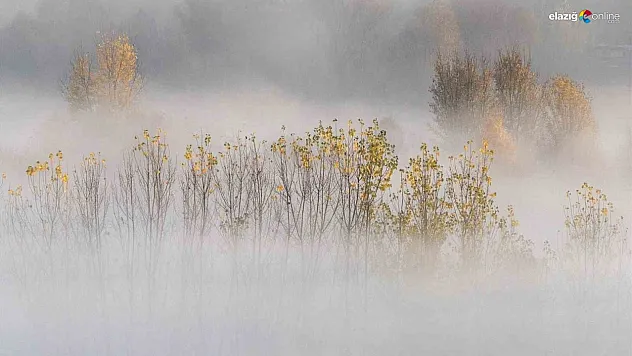 Dicle Nehri Üzerinde Sis Denizi! Hevsel Bahçeleri'nde Eşsiz Sonbahar Manzarası