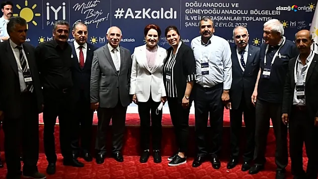 İl Başkanı Gürgözeler şehrin sorunlarını Genel Başkan Akşener'e iletti