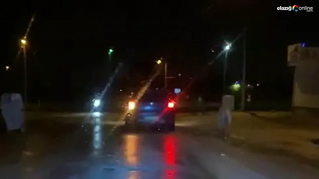 İpe bağlayıp aracın arkasından koşturdukları köpeğe eziyet ettiler