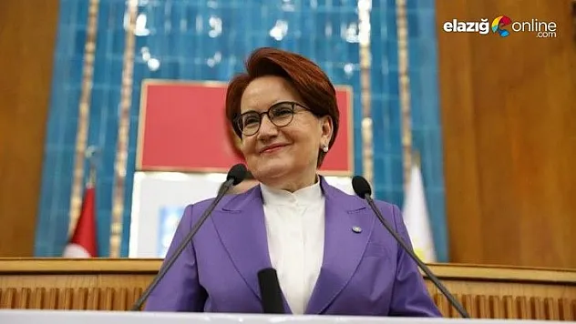 İşte Akşener'in Gönlünde Yatan Cumhurbaşkanı Adayı
