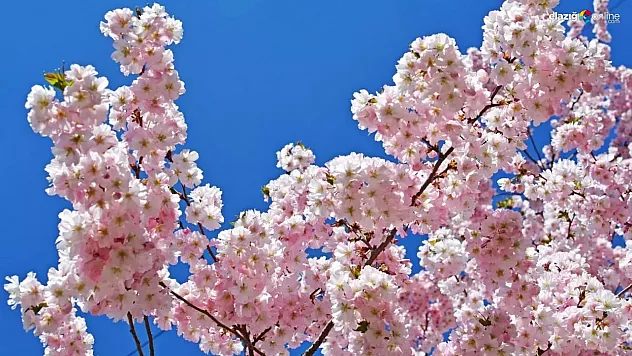 İşte bahar aylarında keşfedilecek en güzel rotalar ve gezilecek yerler