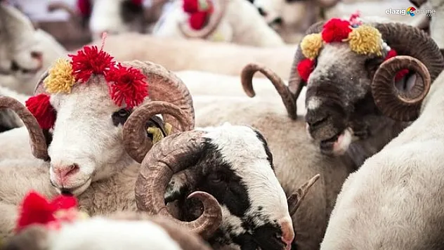 İşte Elazığ il protokolünden Kurban Bayramı mesajları