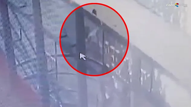 İşte o şahsın feribottan atladığı anlar!