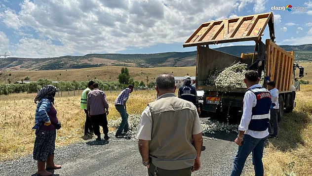 İzinsiz deve dikeni toplayanlara rekor ceza!