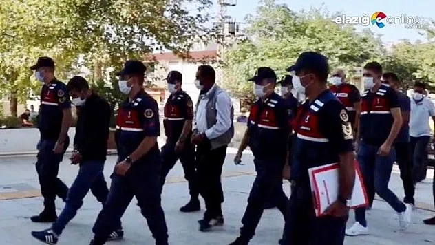 Jandarma dedektif gibi iz sürdü, çalınan hayvanları buldu