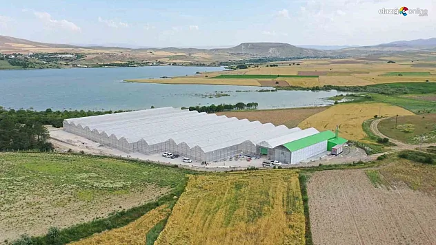 Elazığ Belediyesinden istihdama ve ekonomiye katkı