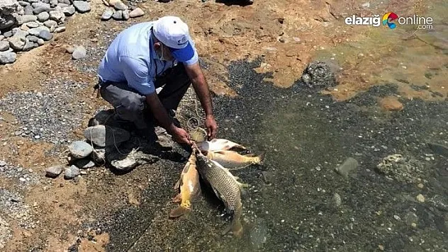 Kaçak avda kullanılan 2 bin metre ağ ele geçirildi