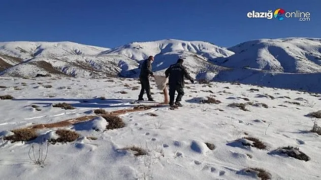 Kaçak avla mücadele ve yaban hayvanlarına yem desteği
