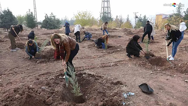 Diyarbakır Büyükşehir Belediyesi'nden Kadın Mücadelesine Anlamlı Destek